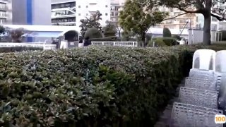 麻豆蜜桃国产精品
